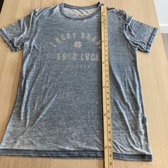 Lucky Brand T-Shirt Mens M Gray Venice Burnout Graphic Tee Good Luck Distressed