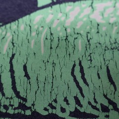 Delta Pro Weight Graphic T Shirt Large Blue Cat-Fish Print (see photo)