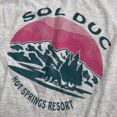 2000s Retro Mountain Sol Duc Hot Springs Resort Men’s T-Shirt Gray L Long Sleeve