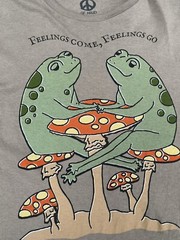 Feelings Come , Feelings Go Rare Shirt Tshirt Large Size Shirt USA Seller
