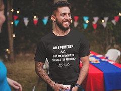 Mens Am I Perfect No T Shirt Funny Sarcastic Graphic T shirts Humor Shirts