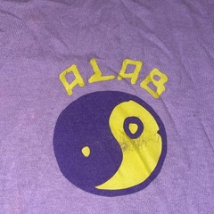 ALAB Skateboard SHIRT Sz L Retro Purple Shark Rat CRUISIN and BRUISIN Streetwear