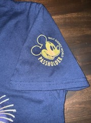 Disney Magic Kingdom Wishes Fireworks Farewell 2017 Passholder Glow in Dark 3XL