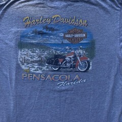 Vintage Y2K Harley Davidson Pensacola Florida Distressed Pocket T Shirt Mens XL