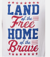 Way to Celebrate Men’s 4th of July Muscle Tank (Medium)