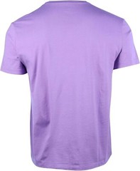 Polo Ralph Lauren Crew Neck Modern Classic-Fit T-Shirt Mens PURPLE GREEN PONY