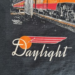 Y2K Daylight Train Beautiful Night Shirt Men’s SZ XL Oregon Rail Heritage Center