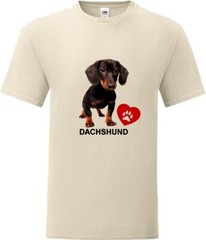 Dachshund Dog Pet Family Friend Novelty T Shirt Various Colours And Sizes