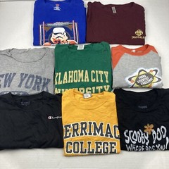 Wholesale Lot of 16 Mixed Theme Long/Short Sleeve T-Shirts Sizes in Desc