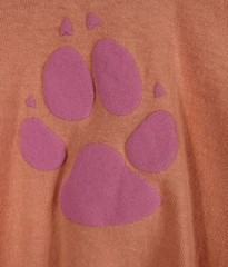 Spirit Jersey Great Wolf Lodge Peach Long Sleeve Shirt XL