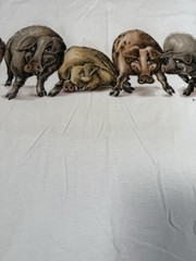 Vintage 90s Double Sided Pig Graphic T Shirt Adult Medium Single Stitch USA Made