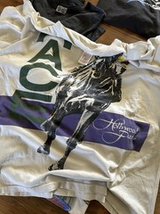 Lot Of 22 Vtg Surf/skate/racing/Harley Tshirts Men’s Bundle