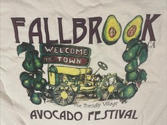 Vintage 90s Fallbrook California T-shirt Avocado Festival Tee Retro Size Large