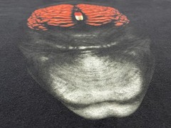 TOOL Pill Brain Vintage Shirt Rare Giant Tag XL 1999 – CHECK SIZE