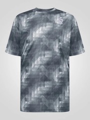 D555 Duke Big Mens Dry Wear T-Shirt Lightweight Grey Printed 2XL-6XL (601922)