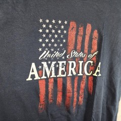Alstyle Shirt Mens XL Blue United States Of America Flag Graphic Tee Patriotic