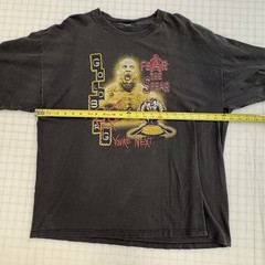Vintage WCW / WWF 90s Goldberg & Taz Looney Tunes “Fear The Spear” Tee XL / 2XL