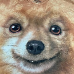 The Mountain Pomeranian Dog T-Shirt Sz XL AOP Y2K Tie Dye Vincent Hie USA
