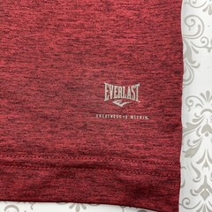 Everlast Greatness is within Dark Red Athletic Training Running T-Shirt Men’s S