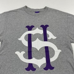 Second Son T-Shirt Men’s Medium Grey Short Sleeve Graphic Print Crew Neck