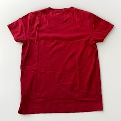 Hollister Men’s Medium Must-Have Collection Crew Neck T-Shirt 100% Cotton Red
