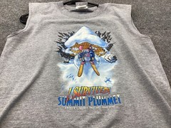 Vintage Disney Blizzard Beach I Survived Summit Plummet Tank Top Gray X-Large
