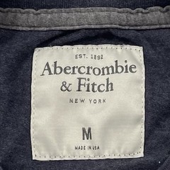 Abercrombie & Fitch Chest Pocket Blue Tee Size M (Retail $35)