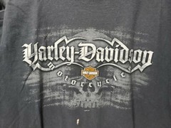 Vintage Harley Davidson Fairbanks Alaska T Shirt Husky Motorcycle Large USA C36
