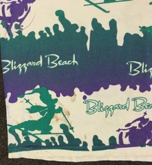 Vtg 90s Disney Blizzard Beach Faded Distress AOP Shirt L Surf Vaporwave Grunge
