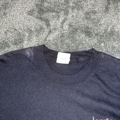 Phoenix Mars Lander 2007 NASA X Jpl Black Crew Neck T Shirt Hanes Beefy Large