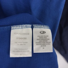 Icebreaker Superfinelite Shirt Mens L Blue Colorblock Raglan Long Sleeve Merino
