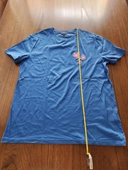 Express Blue & Pink Floral Embroidered T-Shirt Large Pima Cotton