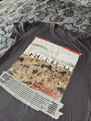 System Of A Down Toxicity T-Shirt – Gray – System Of A Down T-Shirt