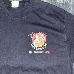 Phoenix Mars Lander 2007 NASA X Jpl Black Crew Neck T Shirt Hanes Beefy Large