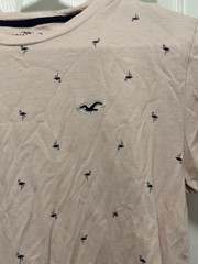 Hollister Must Have Collection Pink T Shirt Small Crew Neck Short Sleeve