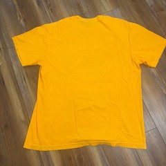 NWOT Tennessee Volunteers 2024 NCAA Baseball National Champions Shirt Sz XL VOLS