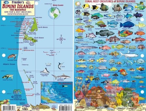 Bimini Islands Bahamas Dive Map & Reef Creatures Waterproof Fish Card