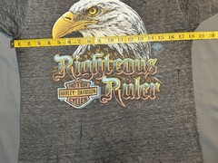 Vintage 3D Emblem Harley Davidson Shirt Righteous Ruler Eagle 80’s Biker Thin