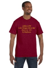 Gildan G500 Blackberry purple Heavy Cotton 5.3 oz. T-Shirt G5000 500 Mora Z7