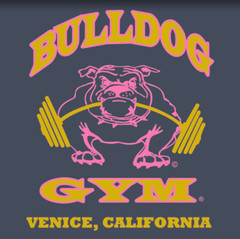 Bulldog Gym Venice California Workout Bodybuilding Navy / Vintage Gold T-Shirt