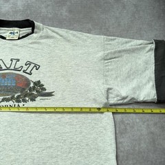Vintage 80s Galt California Shirt Mens X Ringer Globe Tourist Mountain