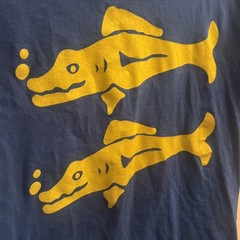 Blue Barracudas Vintage 90s Team Costume Royal Blue Basic Men’s T-Shirt Large