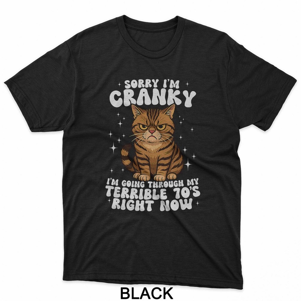 Sorry I’m Cranky I’m Going Through My Terrible 70’s Cat T-Shirt