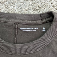 Abercrombie & Fitch Premium Essentials Long Sleeve Tee Mens XL Brown Shirt