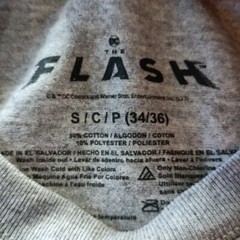 DC Comics THE FLASH T-Shirt Men’s S (34-36) Super Icons Graphic Short Sleeve