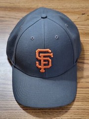 Lot of 18 San Francisco Giants Items 3 Hat, 13 Cups 2 Signs 2010 2017 2019 AT&T