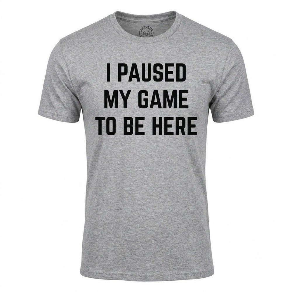 Ann Arbor T-Shirt Company “I Paused My Game To Be Here” Gray Graphic Tee Size L