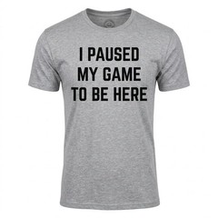Ann Arbor T-Shirt Company “I Paused My Game To Be Here” Gray Graphic Tee Size L