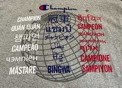 Champion Men’s XL International Unity Classic Heritage Tee Gray White Blue