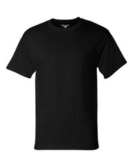 Champion Unisex Classic T-Shirt – T425